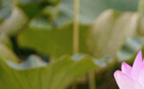 ���������������