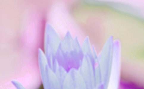 �����B(y��ng)���B(y��ng)��