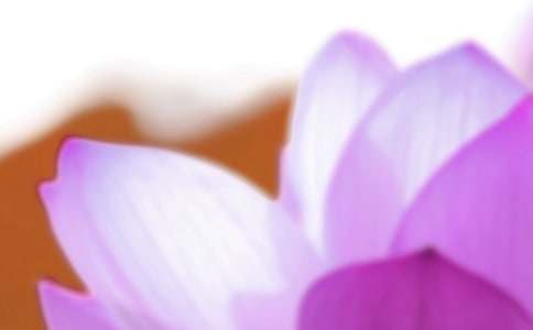 �P(gu��n)���������İ�15ƪ����Ʒ��