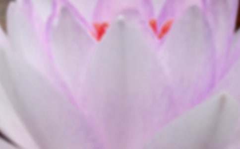 �����İ��̾�Ƀ�