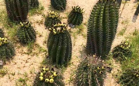 ����������[��(y��u)�x]