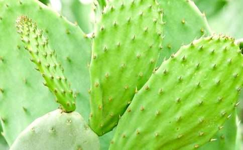 [��(y��u)]����������15ƪ