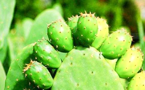 �B��(qi��ng)������������