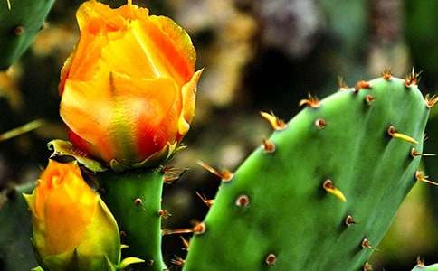 ���������ġ�����