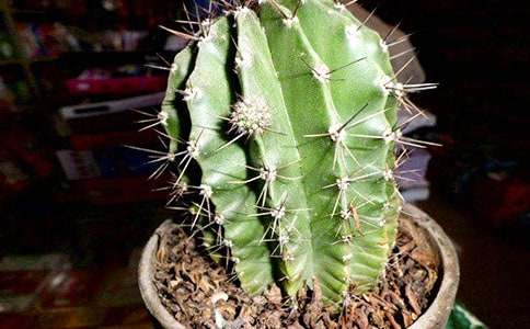 ��(ji��n)��(qi��ng)������������