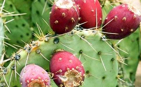 ����������15ƪ[���]]