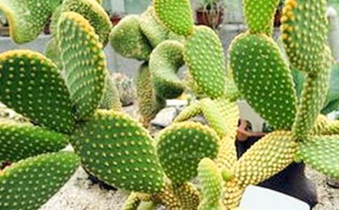 ����������15ƪ�����䣩