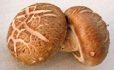 �㹽�ļҳ�������ȫ