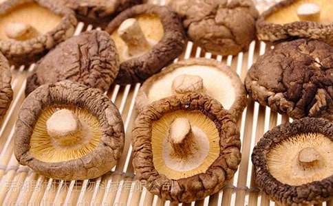 �㹽�u������