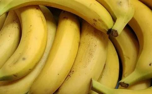 �����_�㽶�ĺ���С���^��ӛ��c����