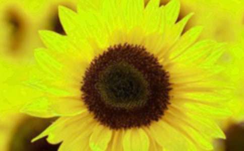 ��������տ�Ů��