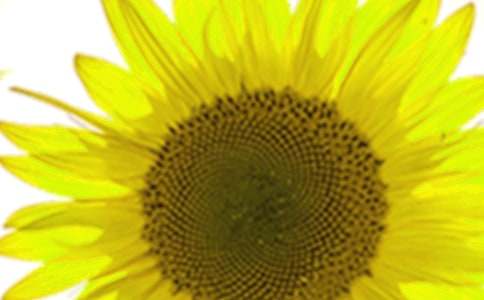 (�؂�)���տ�����