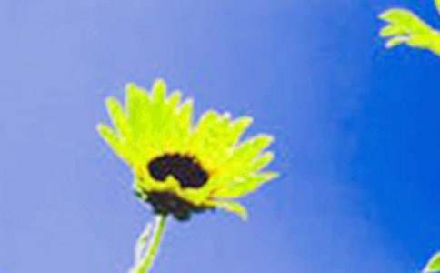 �����տ�Ů�����^���