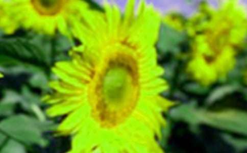 ���տ�������(15ƪ)