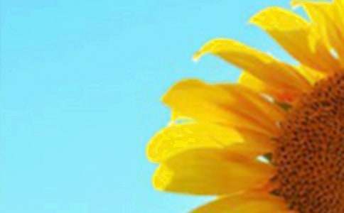 ٝ�����տ�������