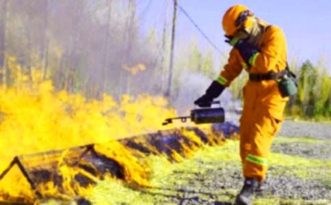 ����С�l(w��i)ʿ��Ҫ���E