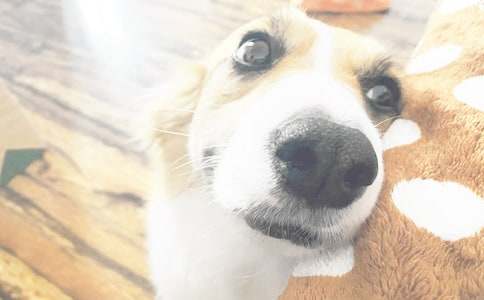 ��С���X�X���ҵ���ؔ(c��i)֮�����꼉(j��)����