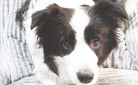 ��С���X(qi��n)�X(qi��n)���x��С��]��