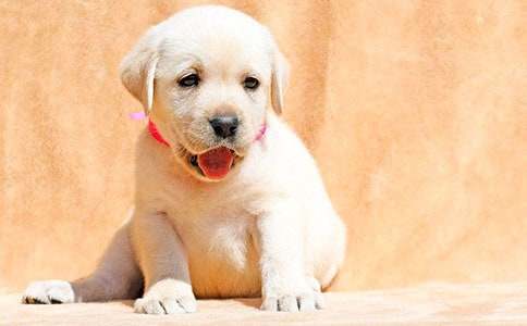 �^����ӛ��(d��ng)��С��