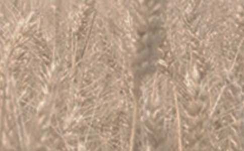 С�����a(ch��n)�f(xi��)�h��