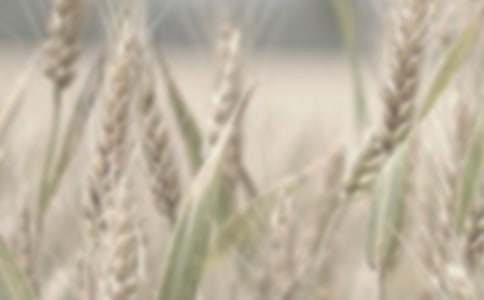 ���|С�����a�f�h������