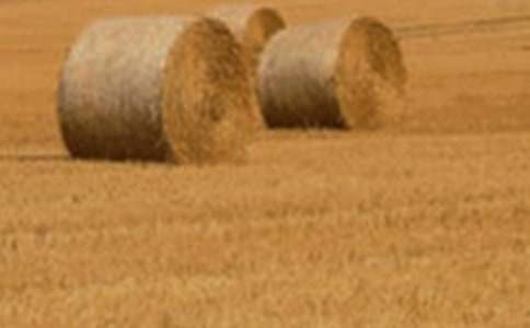 С��ُ�N��ͬ