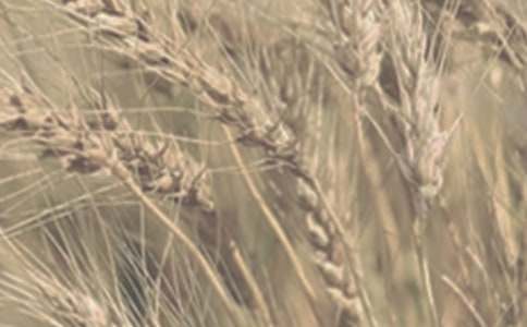 С�����N��r�{(di��o)�Ј��