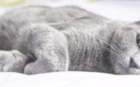 �oС؈ϴ������