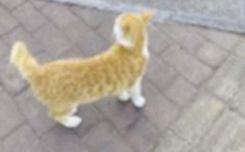 С؈��������