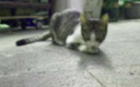 �Һ͌���С؈���ķ���7ƪ