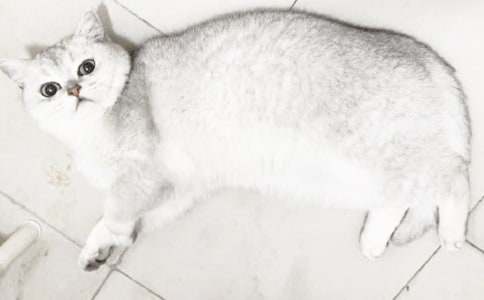 �Ҽҵ�С؈С��������