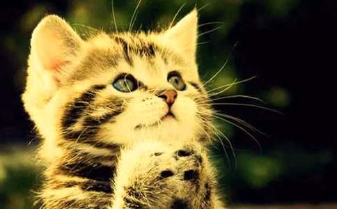 �ɐ�(��i)��С؈���ąR��15ƪ