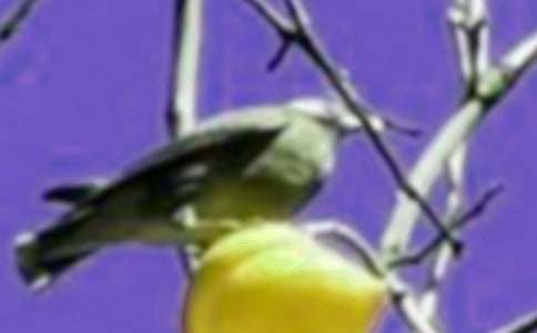 ������С�B����