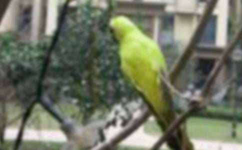 С�B����������