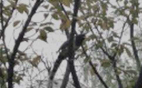 ���wС�B����13ƪ�����]��