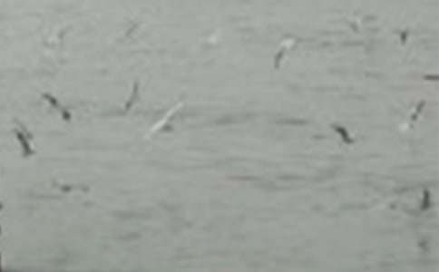 �P(gu��n)��С�B����3ƪ