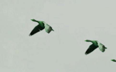 �܂���С�B���ľ�ƪ