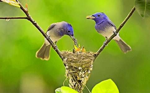 �������һֻС�B���ġ��᡿