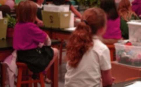 С�W(xu��)��С�������E19ƪ