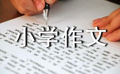 ���L(zh��ng)С�W(xu��)����