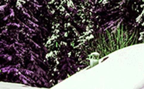 24��(ji��)��֮Сѩ�����¾����vԒ�巶��