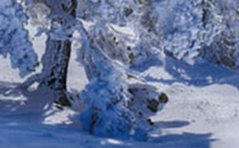 Сѩ��(ji��)�⃞(y��u)�����v��