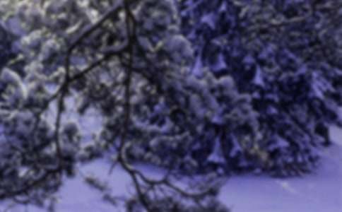 Сѩ��(ji��)���İ�(�R��15ƪ)