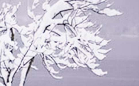 �m��Сѩ��(ji��)����İ�