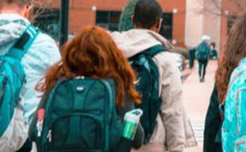 ����(l��)�����W(xu��)�ӵ����v��