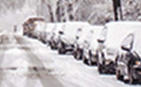 ���¶�����ѩ�ĺ��ĵ��w������