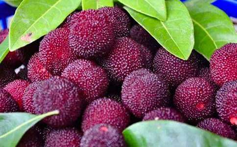 ���l(xi��ng)��÷����