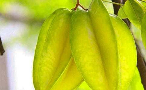 �������ҡ��x���[��]