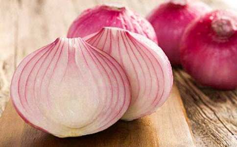 �����[�^�v�Uӛ���и�[�؂�]