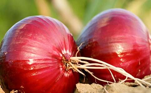 ���[�^�v�U(xi��n)ӛ�x��м���15ƪ